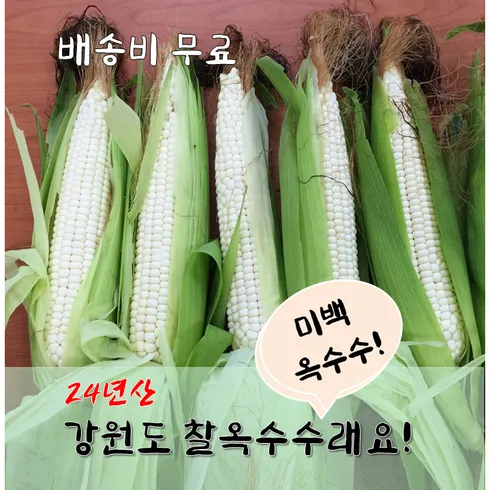 지금 바로 구매하자 강원도 찰옥수수 26개입 총 7kg 지금 바로 혜택을 누리세요