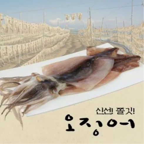 기념일에 반건조 피데기오징어 130g150g X 20마리  지금 확인하세요