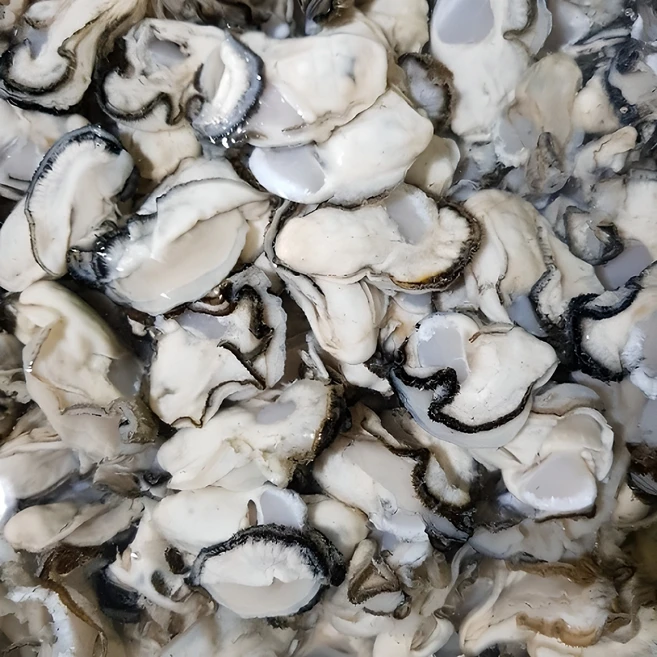지금 바로 구매하자 ​지금 바로  [미도파]통영굴100g×18봉 선택하세요 최고템