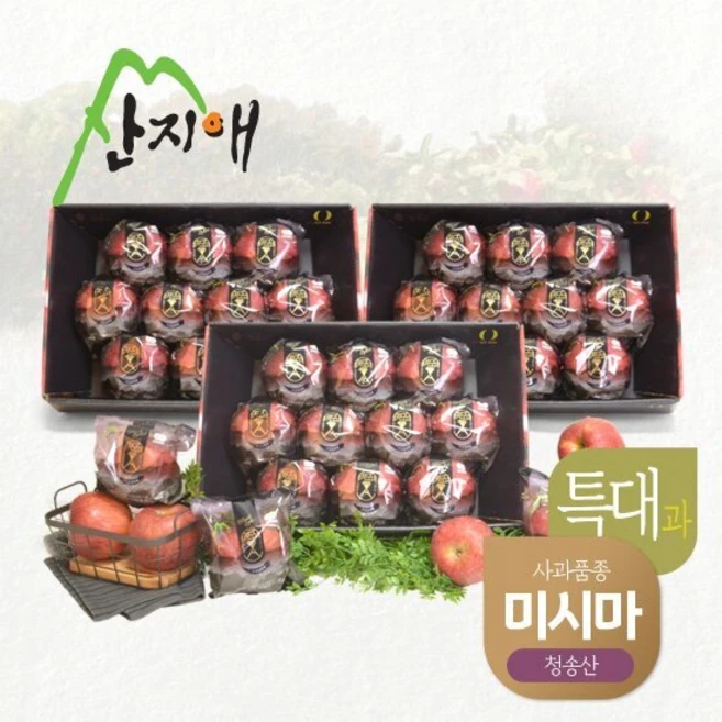 꿀 소식 ​지금 바로  산지애 사과 9kg 선택하세요