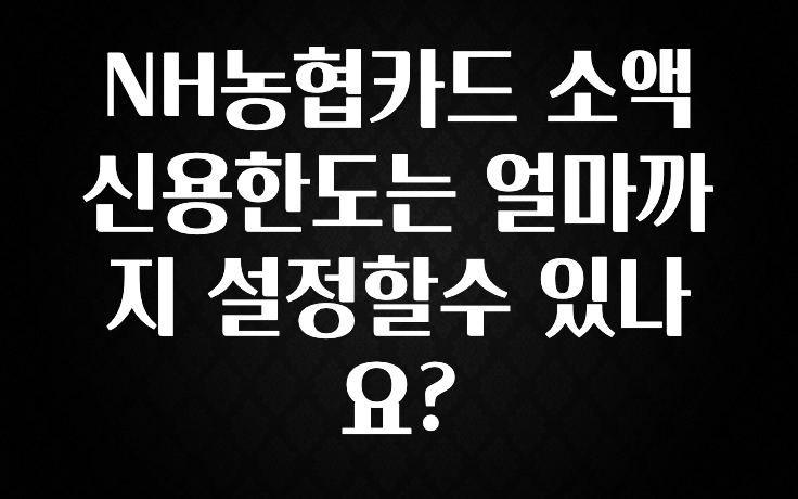 바로 확인가능한 NH농협카드 소액 신용한도는 얼마까지 설정할수 있나요? 추천드릴게요