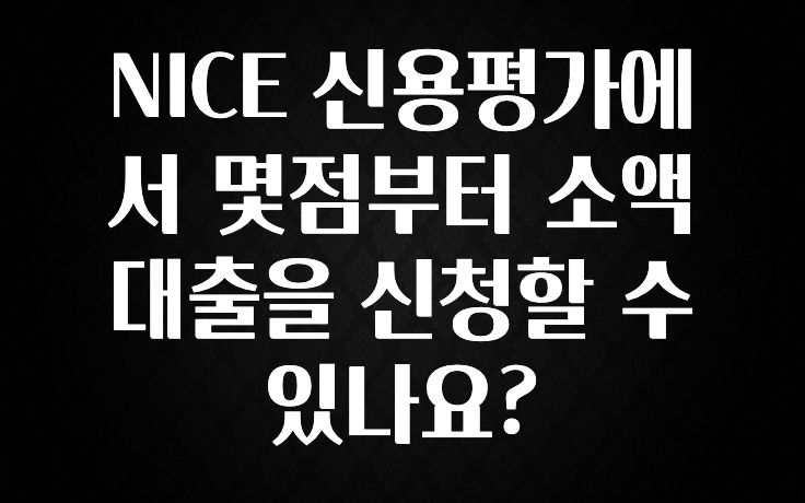 최저가만 선정 NICE 신용평가에서 몇점부터 소액대출을 신청할 수 있나요? 아주 좋은 정보입니다