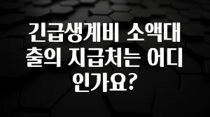 핫 소식 긴급생계비 소액대출의 지급처는 어디인가요? 확인해보세요