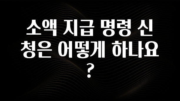 추가정보 떳다 소액 지급 명령 신청은 어떻게 하나요? 좋은 정보