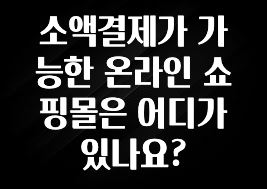 가성비 좋은 소액결제가 가능한 온라인 쇼핑몰은 어디가 있나요? 실시간 리뷰입니다