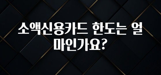 꾸준한 사랑을 받은 소액신용카드 한도는 얼마인가요? 요약본만 확인해보세요