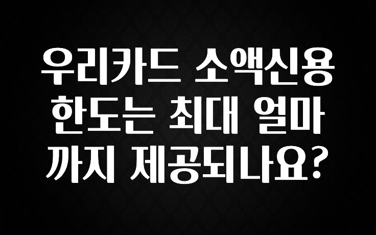 모두가 궁금해 했던 우리카드 소액신용 한도는 최대 얼마까지 제공되나요? 추천드릴게요