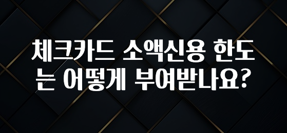 인스타 정보 체크카드 소액신용 한도는 어떻게 부여받나요? 추천한 이유입니다