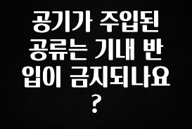 기다렸던 정보 공기가 주입된 공류는 기내 반입이 금지되나요? 추천한 이유입니다