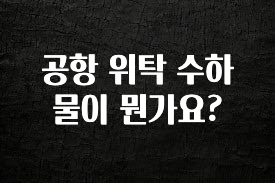 정성을 담은 공항 위탁 수하물이 뭔가요? 기억하세요