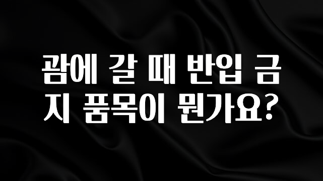 80년생들”주목” 괌에 갈 때 반입 금지 품목이 뭔가요? 확인해보세요