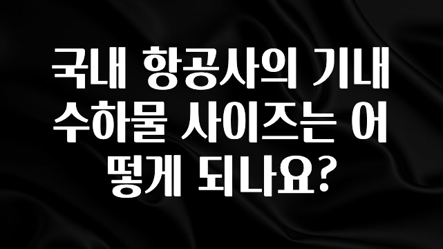 엄마아빠가 좋아하는 국내 항공사의 기내수하물 사이즈는 어떻게 되나요? 최신정보