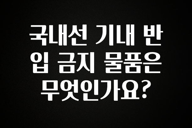 인스타 정보 국내선 기내 반입 금지 물품은 무엇인가요? 알려드립니다