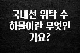 추가소식은 꼭 확인하자 국내선 위탁 수하물이란 무엇인가요? 한 번에 알려드립니다