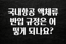 이건”꼭” 알아보자 국내항공 액체류 반입 규정은 어떻게 되나요? 리뷰가 많습니다