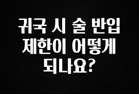 이것만 보고가기 귀국 시 술 반입 제한이 어떻게 되나요? 지금떳다
