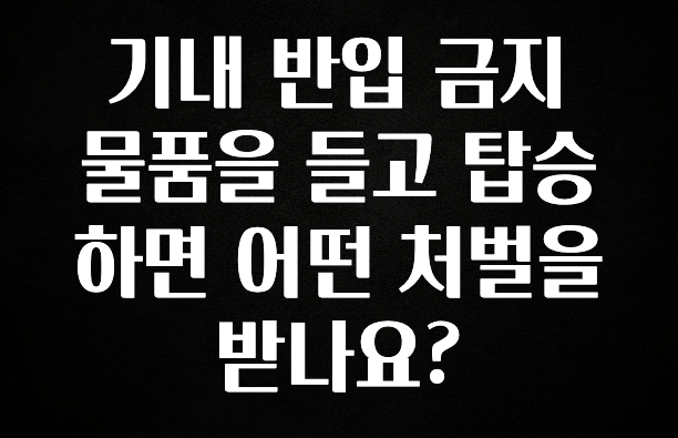놓치지말고 기내 반입 금지 물품을 들고 탑승하면 어떤 처벌을 받나요? 알려드립니다