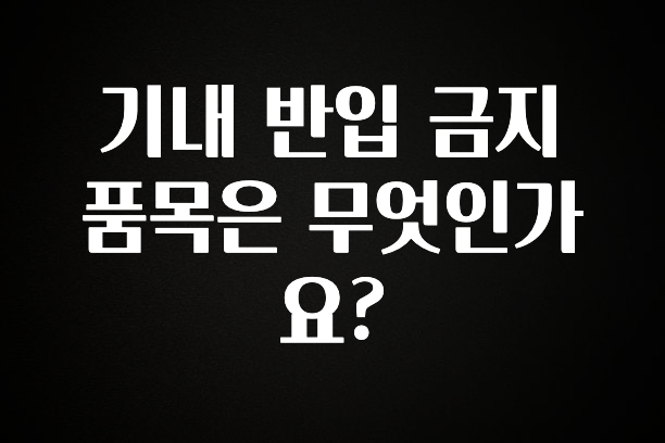 요즘 이게 유행 기내 반입 금지 품목은 무엇인가요? 관심이 뜨겁습니다