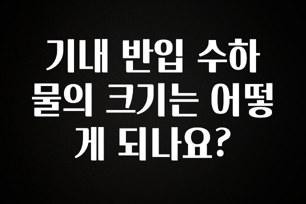 정성가득 선물 기내 반입 수하물의 크기는 어떻게 되나요? 소개합니다