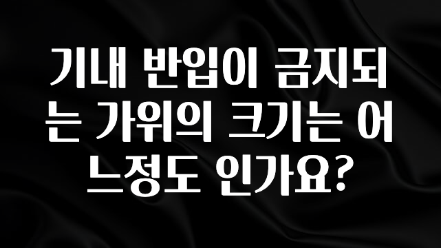 이정보美쳤다 기내 반입이 금지되는 가위의 크기는 어느정도 인가요? 기억하세요