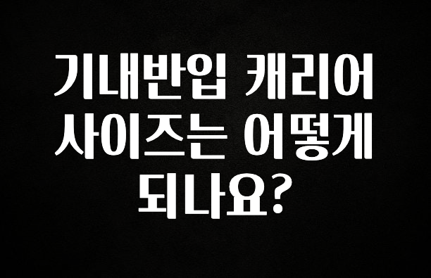 이번 달 기내반입 캐리어 사이즈는 어떻게 되나요? 아주 좋은 정보입니다