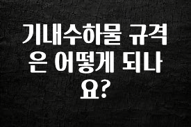 최다 검색한 기내수하물 규격은 어떻게 되나요? 지금 소개할게요