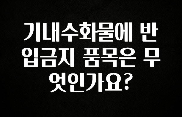 꼭 봐야하는 이유 기내수화물에 반입금지 품목은 무엇인가요? 요약본만 확인해보세요