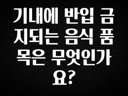 유튜브에서 난리난 정보 기내에 반입 금지되는 음식 품목은 무엇인가요? 놓치지마세요