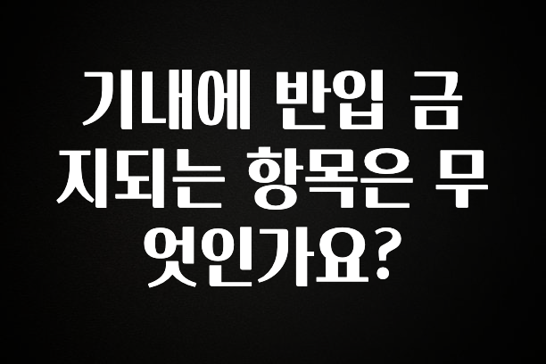 “꼭”저장해두세요 기내에 반입 금지되는 항목은 무엇인가요? 최신정보