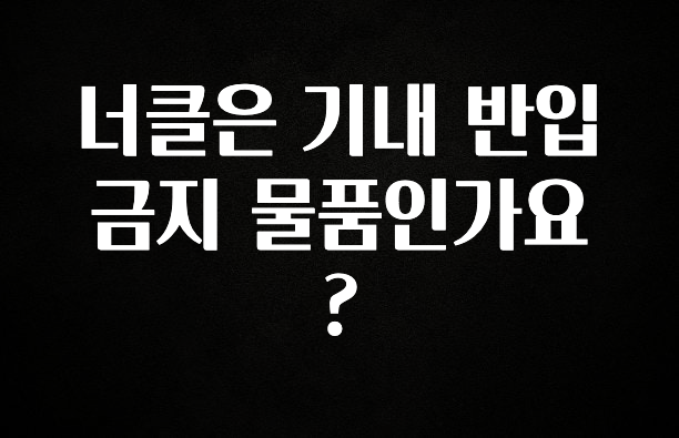 주간 핫 너클은 기내 반입 금지 물품인가요? 핫한 정보입니다