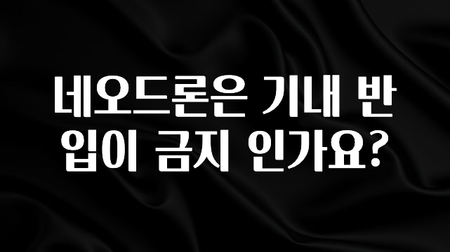모두가 궁금했던 네오드론은 기내 반입이 금지 인가요? 정직하게 소개해보겠습니다