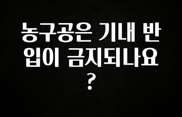 사랑을 담은 농구공은 기내 반입이 금지되나요? 확인해보세요