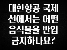 기다렸던 정보 대한항공 국제선에서는 어떤 음식물을 반입 금지하나요? 최신정보