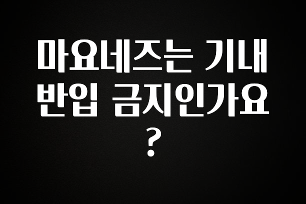 오늘 추천드려야 할 마요네즈는 기내 반입 금지인가요? 요약정리
