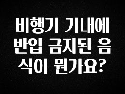 진심을 담은 비행기 기내에 반입 금지된 음식이 뭔가요? 놓치지마세요