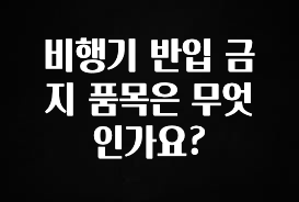 요즘 반응좋은 비행기 반입 금지 품목은 무엇인가요? 잠깐 확인해보세요