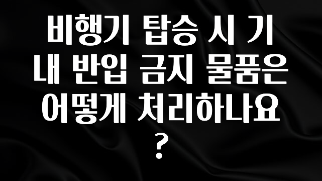 간단뉴스 비행기 탑승 시 기내 반입 금지 물품은 어떻게 처리하나요? 지금 소개할게요