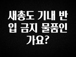 이번 선물은 꼭 새총도 기내 반입 금지 물품인가요? 지금떳다
