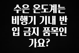 간단정보 수은 온도계는 비행기 기내 반입 금지 품목인가요? 궁금하시죠?