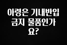 싹 다알려줌 아령은 기내반입 금지 물품인가요? 궁금하신가요?