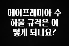 이게 진짜라고? 에어프레미아 수하물 규격은 어떻게 되나요? 지금 소개할게요