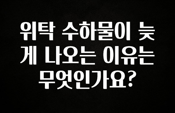추가소식은 꼭 확인하자 위탁 수하물이 늦게 나오는 이유는 무엇인가요? 실사용 후기