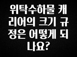 요즘 유행 위탁수하물 캐리어의 크기 규정은 어떻게 되나요? 후회하지 않습니다