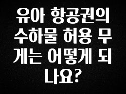 정보 쏟아짐 유아 항공권의 수하물 허용 무게는 어떻게 되나요? 한 번에 알려드립니다