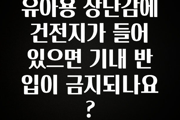 진심을 담은 유아용 장난감에 건전지가 들어있으면 기내 반입이 금지되나요? 확인하시죠