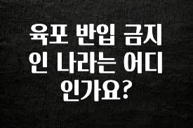꼭 봐야하는 이유 육포 반입 금지인 나라는 어디인가요? 알려드릴게요