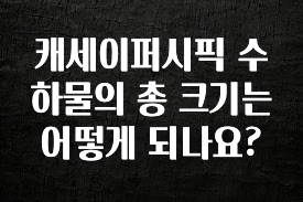 최저가로 모시는 캐세이퍼시픽 수하물의 총 크기는 어떻게 되나요? 최신정보