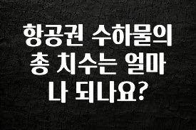 인스타 정보 항공권 수하물의 총 치수는 얼마나 되나요? 1분이면 확인가능 합니다