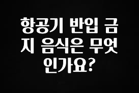 좋은 정보 항공기 반입 금지 음식은 무엇인가요? 요약정리