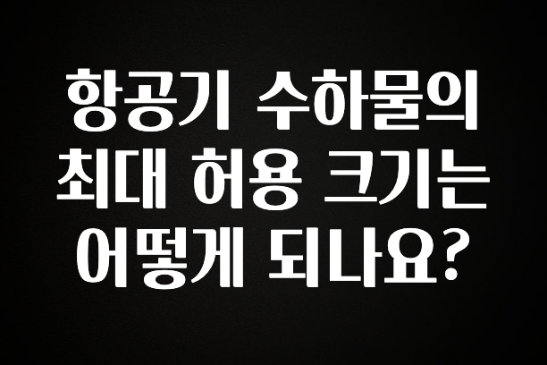 진심이 담긴 항공기 수하물의 최대 허용 크기는 어떻게 되나요? 추천드릴게요